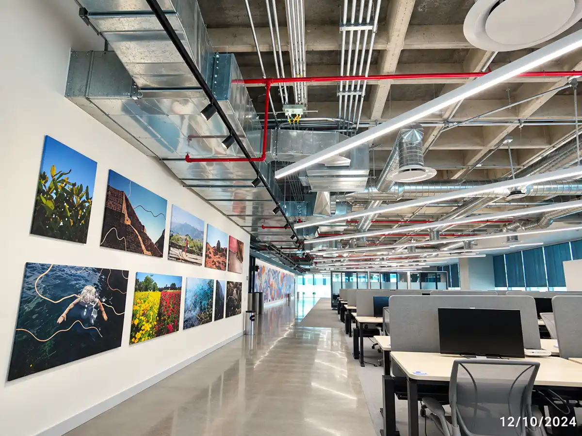 Foto destacada de Oficinas TikTok México
